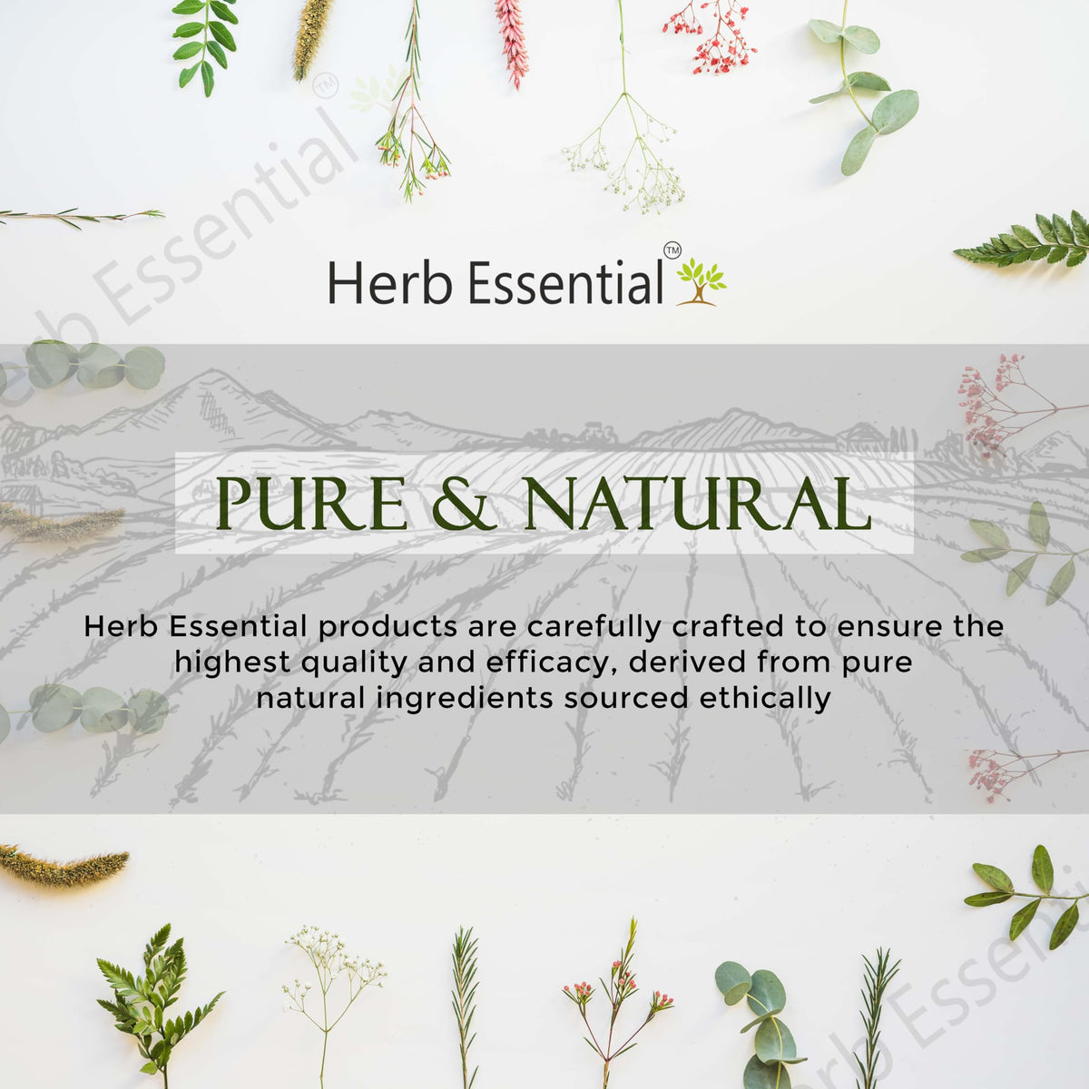 Herb Essential Pomegranate Peel Powder - 7.05 oz - image 6