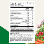 Floradix Iron Tablets Supplement Vegetarian - 80 Tablets - image 2