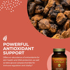 HEALTHFORCE SUPERFOODS Integrity Extracts Chaga Powder - 150 Grams - image 4