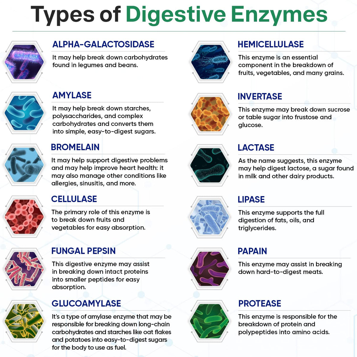 Wholesome Wellness Digestive Enzymes 1000MG with Probiotics - 180 Capsules - image 5