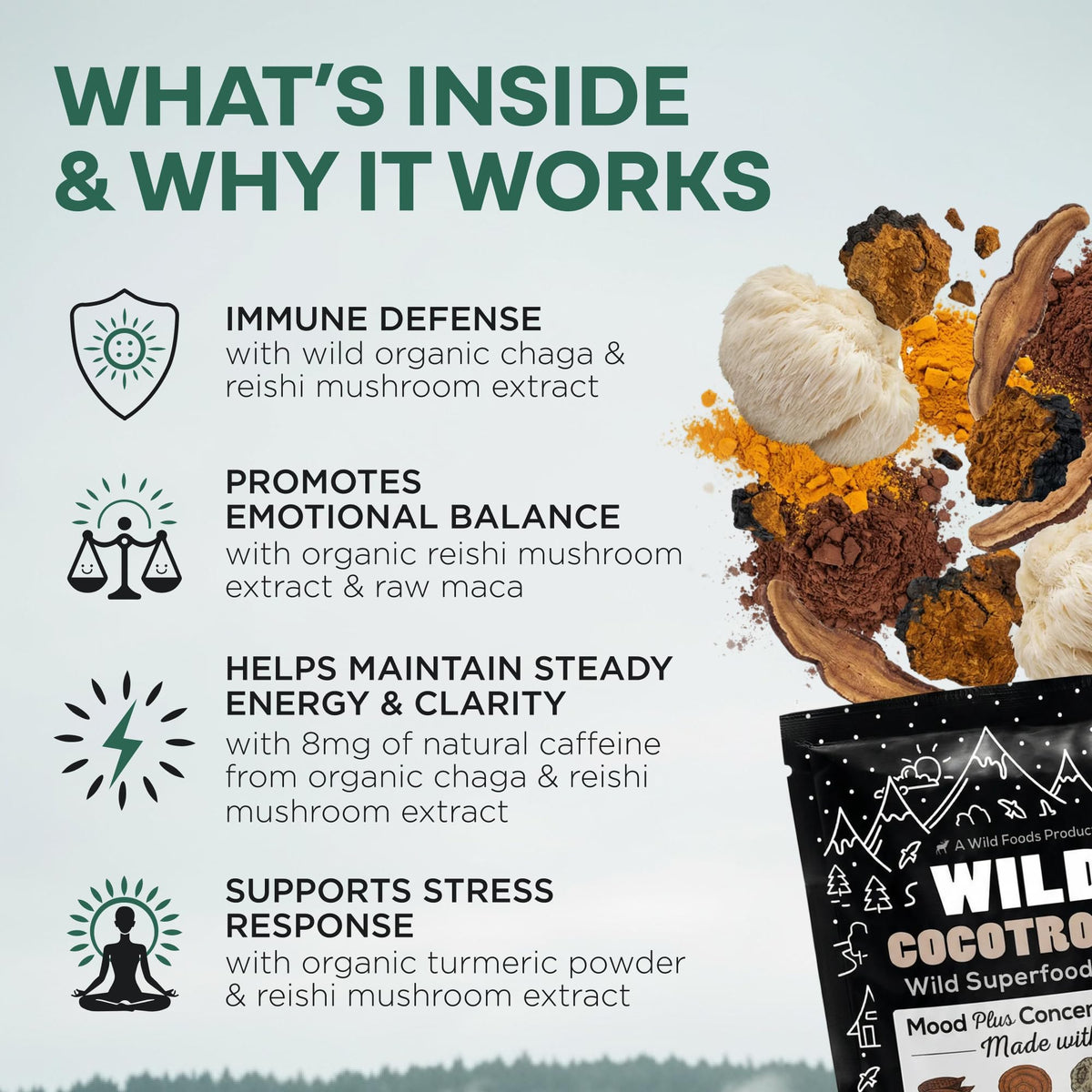 Wild Foods Organic Cocotropic Superfood Mushroom Hot Chocolate Mix