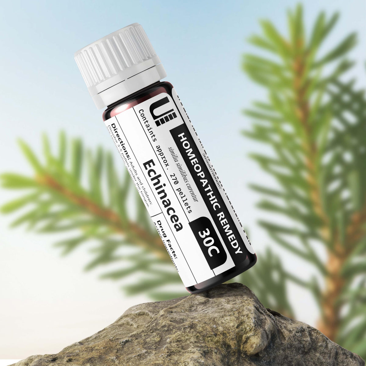 Echinacea Angustifolia 30C Homeopathic Remedy, Urenus - image 2