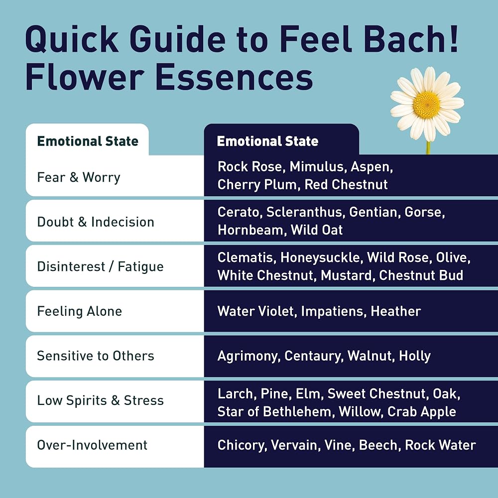 Feel Bach! Willow Natural Homeopathic Remedy - 20ml (0.7 fl oz) - image 5