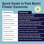 Feel Bach! Willow Natural Homeopathic Remedy - 20ml (0.7 fl oz) - image 5