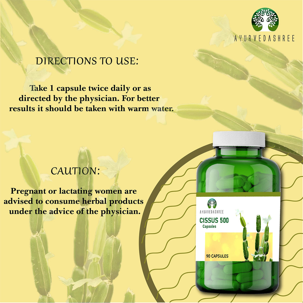 AYURVEDASHREE Asthishrunkala Cissus Quadrangularis 500mg - 90 Capsules - image 2