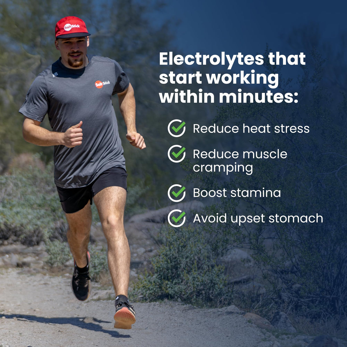 SaltStick MINERAL_SUPPLEMENT