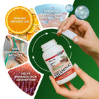 Landau Vitamin C 500mg Chewable Tablets - 100 Tablets - image 5