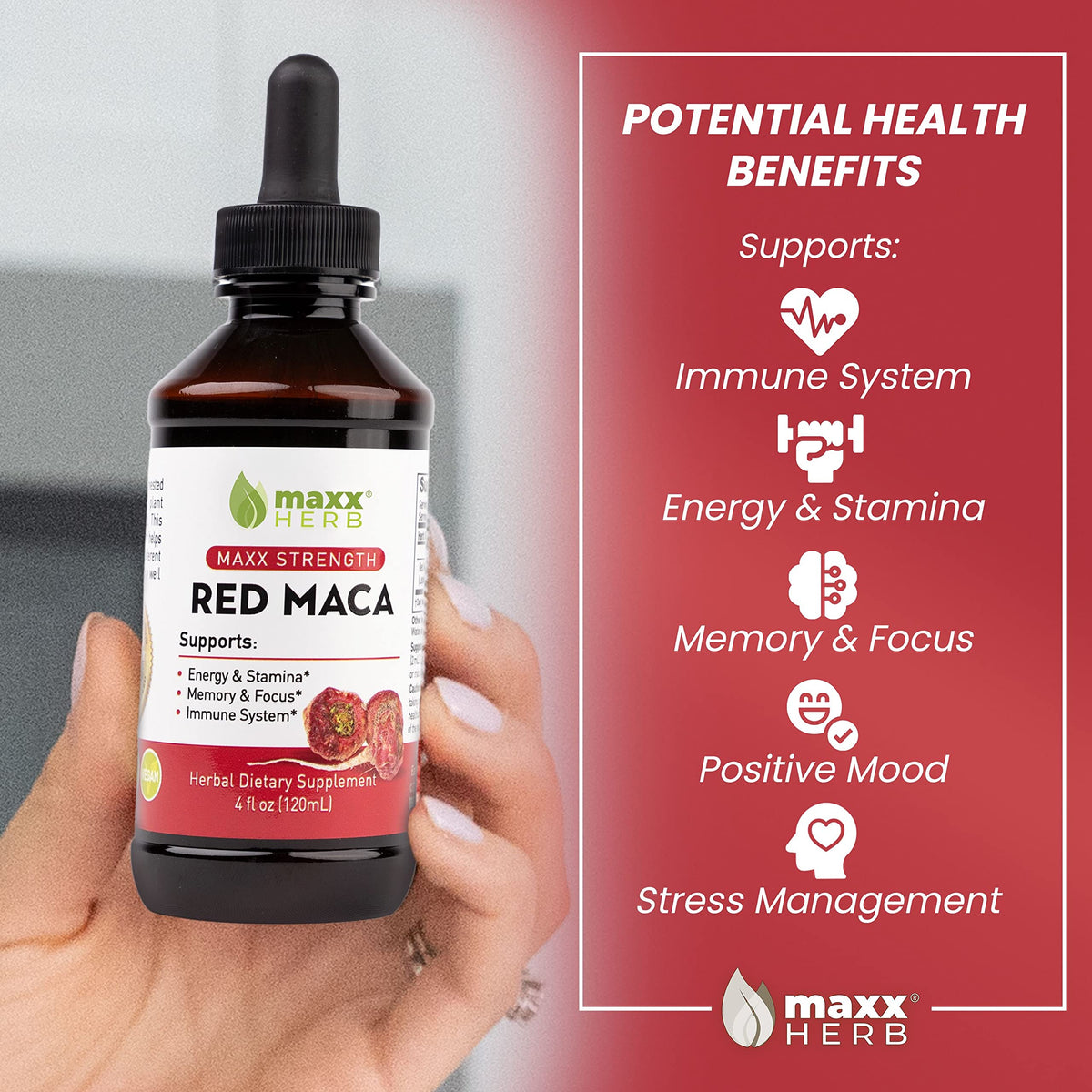 Maxx Herb Red Maca Root Liquid Extract for Stamina & Focus - 4 Pack - image 3