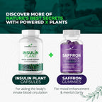 POWERED X PLANTS Pure Berberine Supplement - 1300mg Berberine