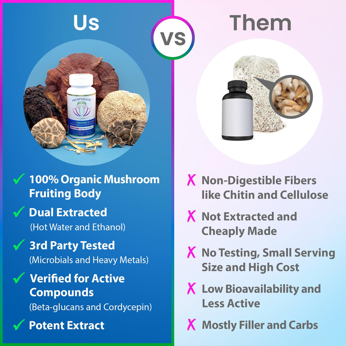 ENCAPSULATE 6 Mushroom Blend
