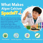 LILICARE Kids Calcium Gummies with Vitamin D3 K2 - 60 Gummies - image 5