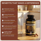 Earth Elixir 4-in-1 Berberine Supplement 1160mg - 180 Capsules - image 3