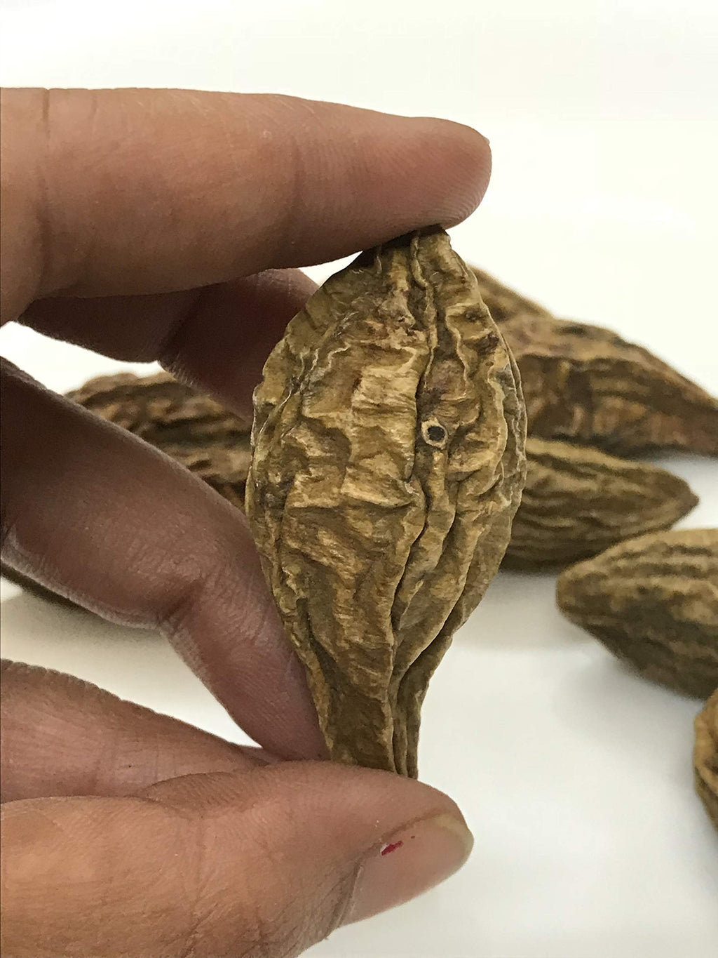 SANAA ZESTY HARAD (Haritaki) Whole / Terminalia chebula / INDIAN