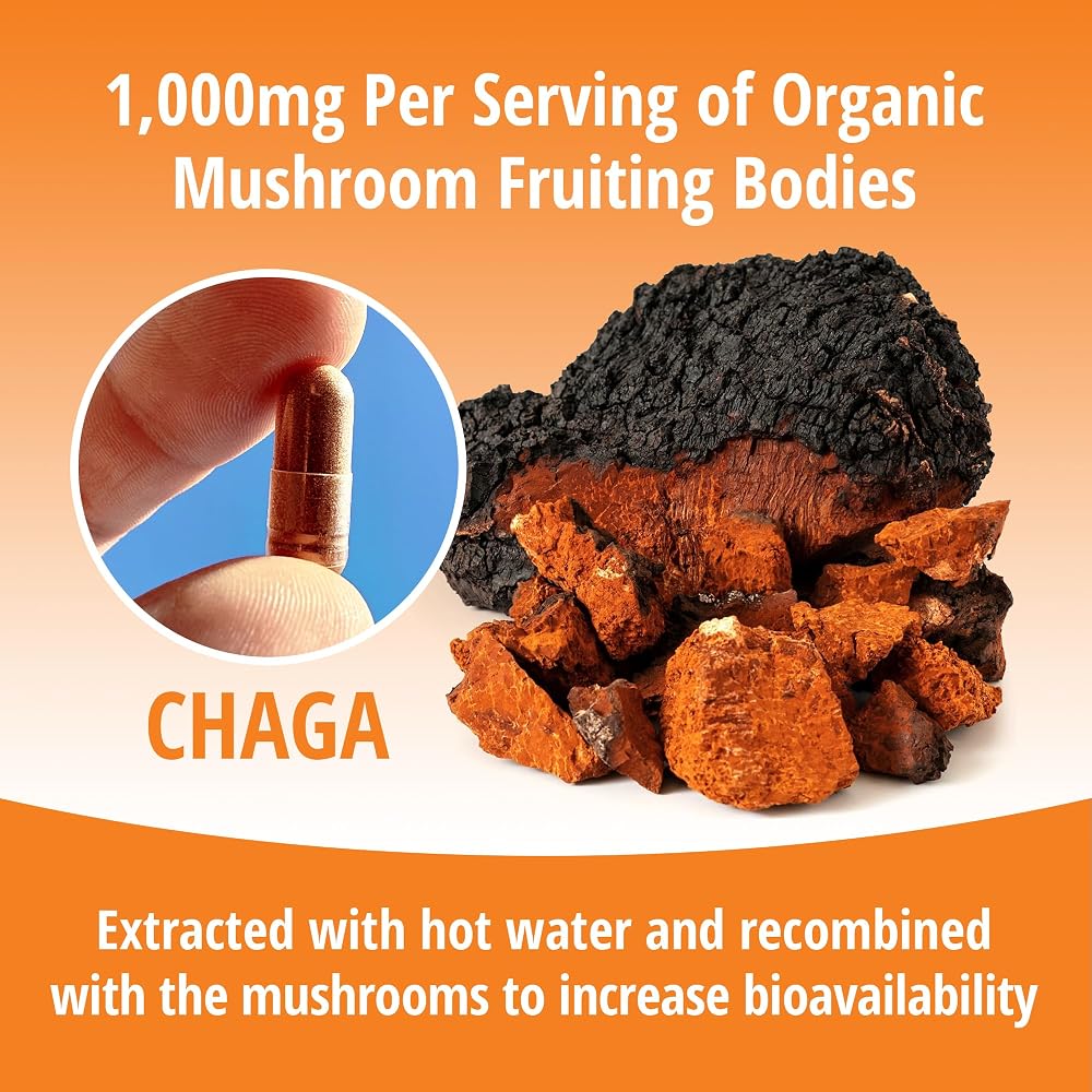 ENCAPSULATE Chaga Mushroom Extract 1000mg - 60 Capsules - image 6