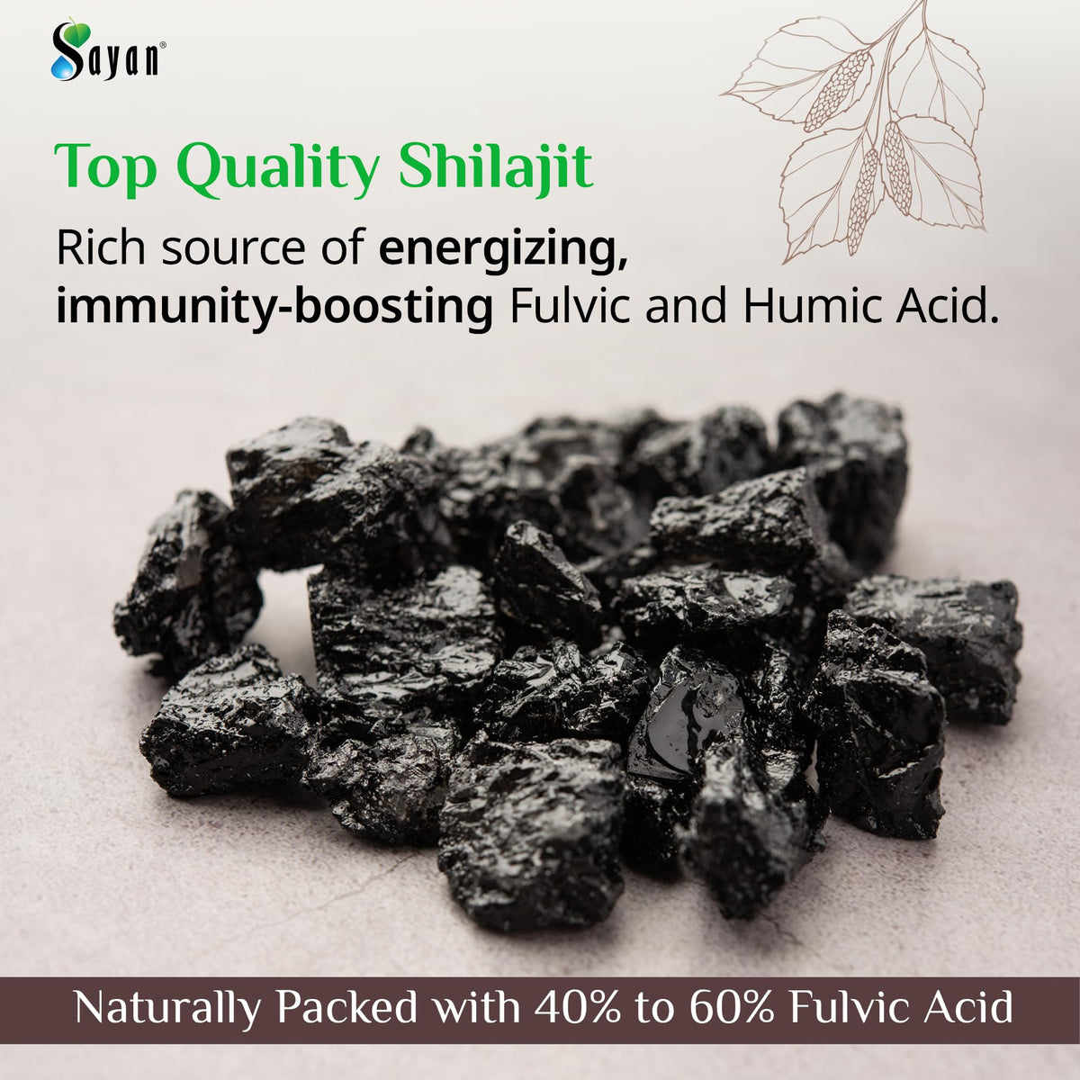 Sayan Shilajit Tablets 200mg Fulvic Acid - 60 Count - image 3