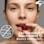 Stay Wyld Organics Super 7 Immunity+ Mushroom Gummies - 30 Count - image 3