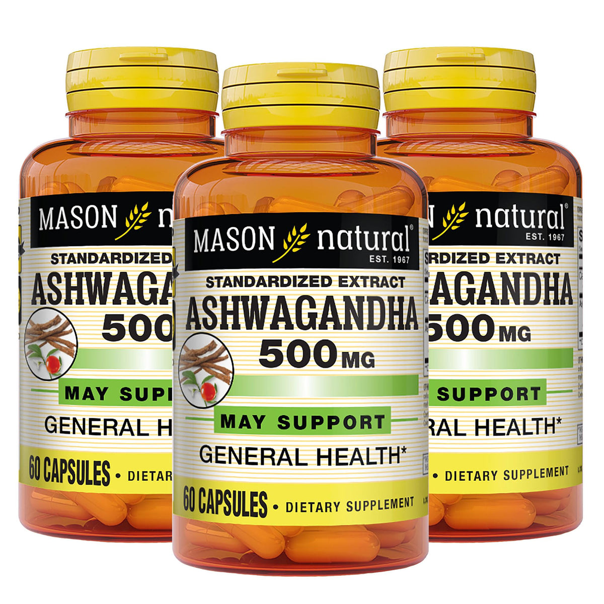 MASON NATURAL Ashwagandha 500 mg Adaptogen - 180 Capsules