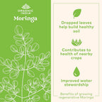 ORGANIC INDIA Moringa Capsules Organic