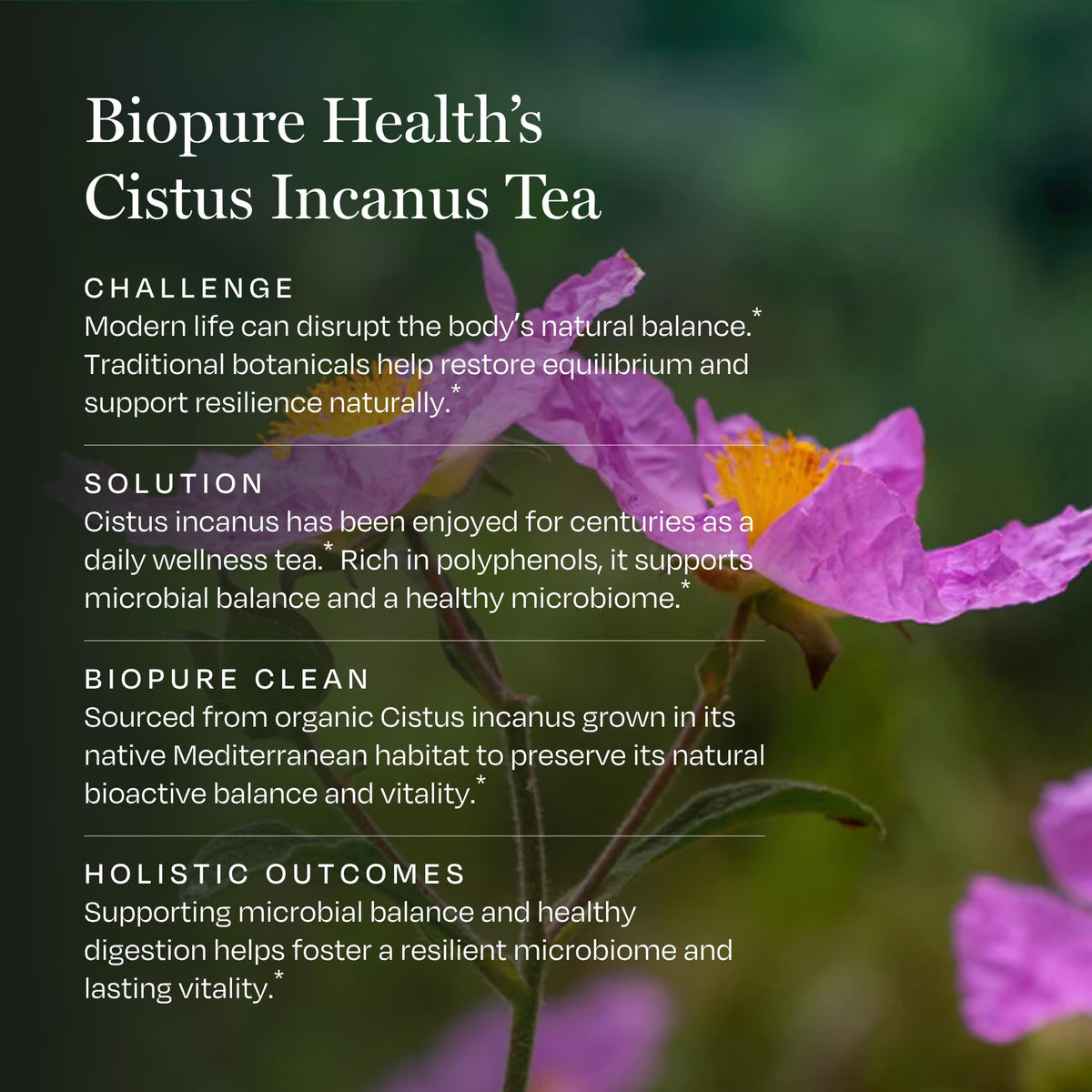 BioPure Cistus Incanus Tea Herbal Supplement - 116 Servings - image 4