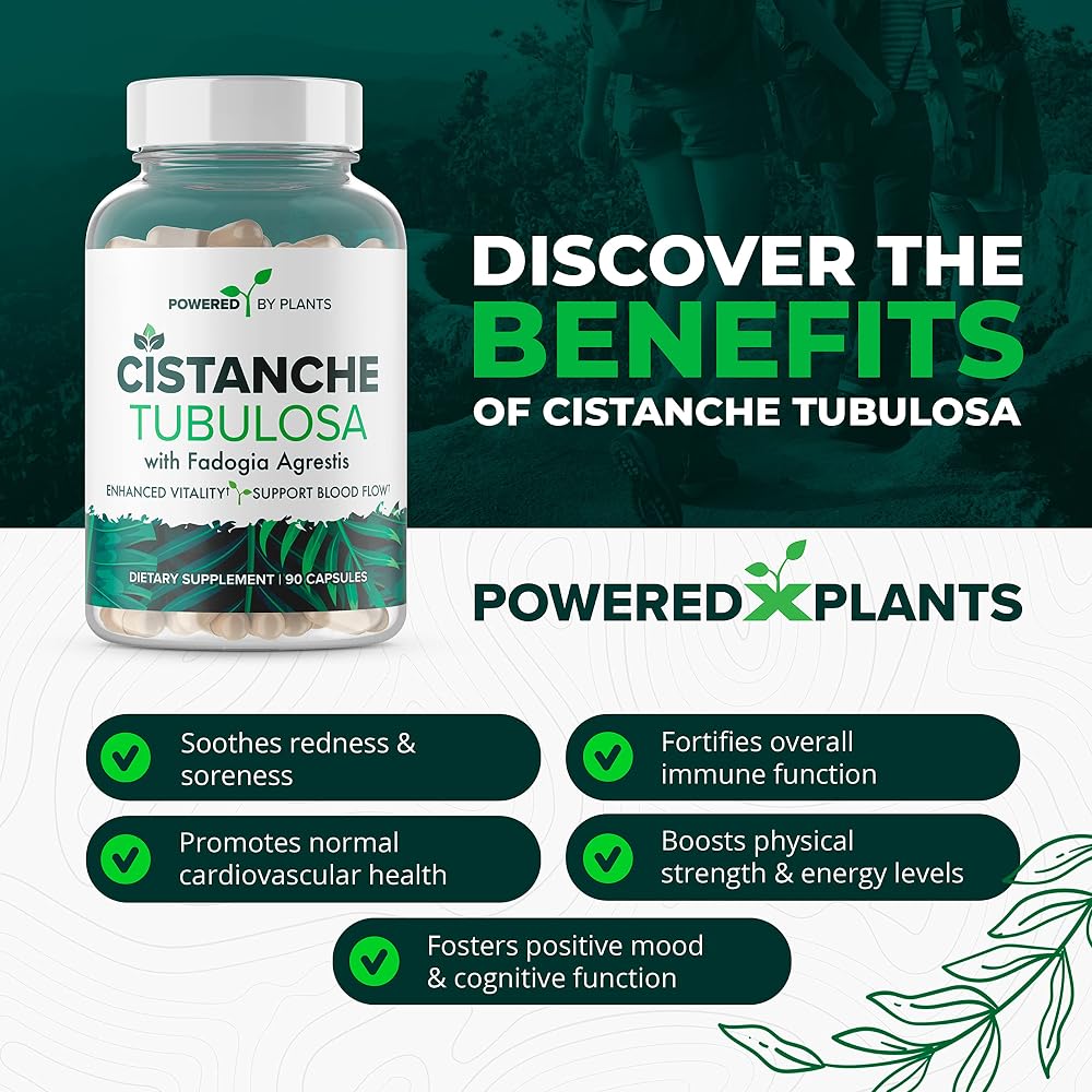 Powered X Plants Cistanche Tubulosa & Fadogia Agrestis - 90 Capsules - image 3