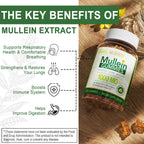 NEVISS Mullein Leaf Extract 1000mg for Lung Cleanse