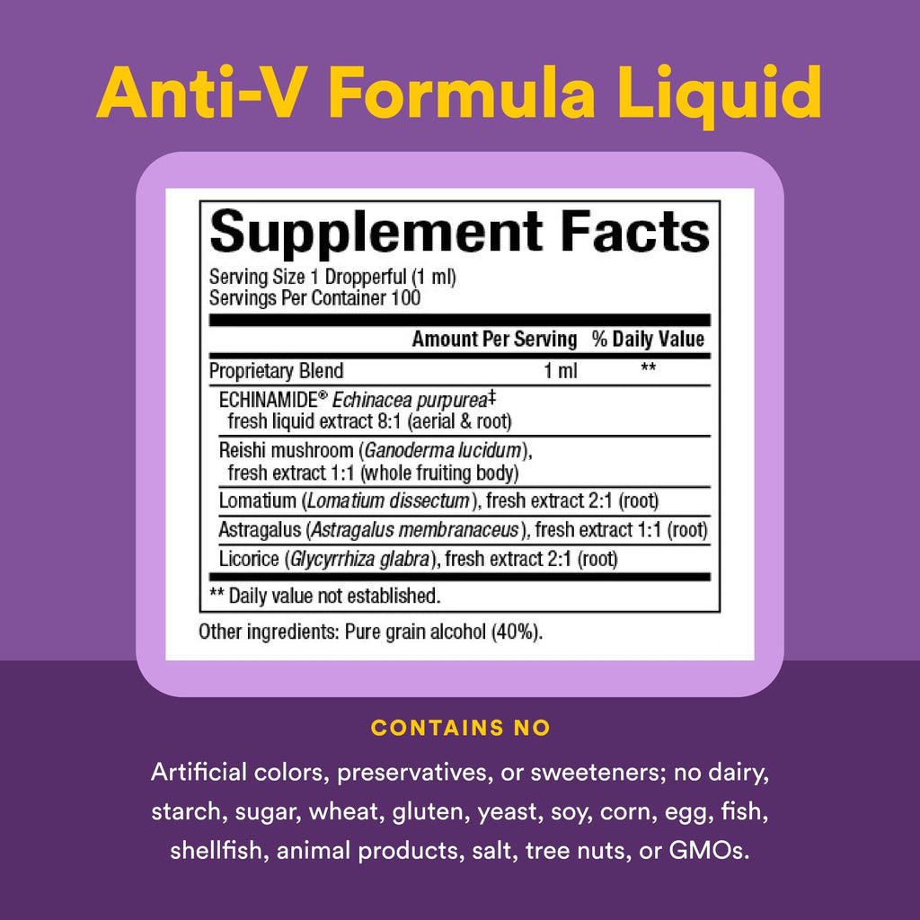 Natural Factors Anti-V Echinacea Liquid Formula - 3.4 fl oz - image 4