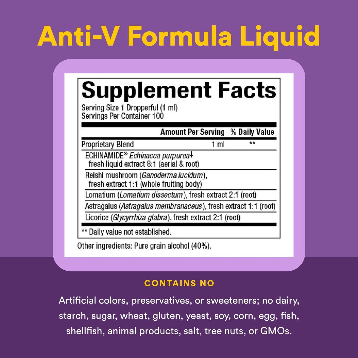 Natural Factors Anti-V Echinacea Liquid Formula - 3.4 fl oz - image 4