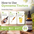 Secrets of the Tribe Gymnema Tincture Alcohol-Free Liquid Extract