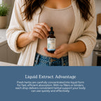 Eclectic Herb - Usnea Extract - image 5