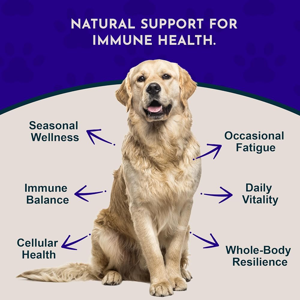 Animal Essentials Mushroom Defense Supplement - Certified Organic - image 4