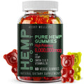 ADDOT WellLife Pure Hemp Gummies with Omega 3-6-9 - 60 Gummies