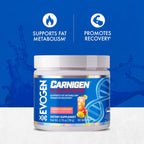 Evogen Carnigen - Premium Carnitine Powder