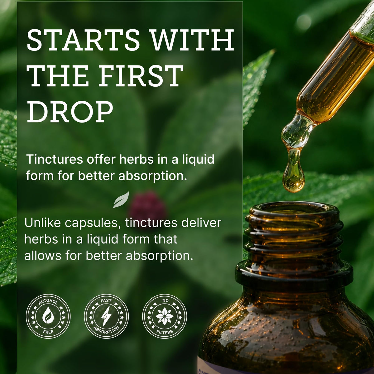 Secrets of the Tribe Goldenseal Root Tincture Alcohol-Free Extract