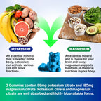 HOLLEGEND Potassium Magnesium Gummies
