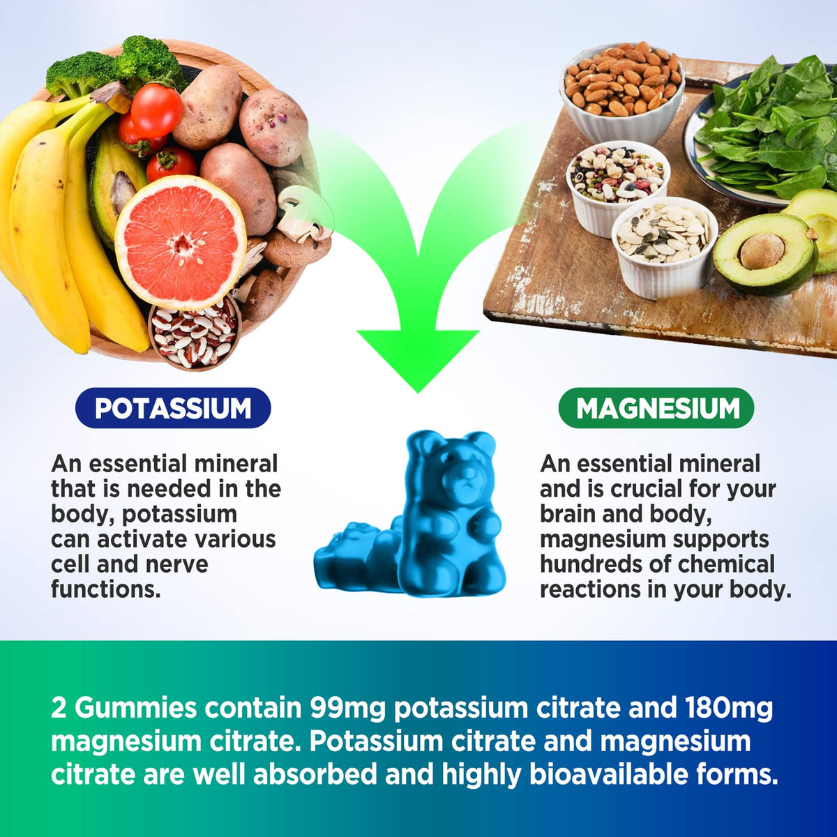 HOLLEGEND Potassium Magnesium Gummies