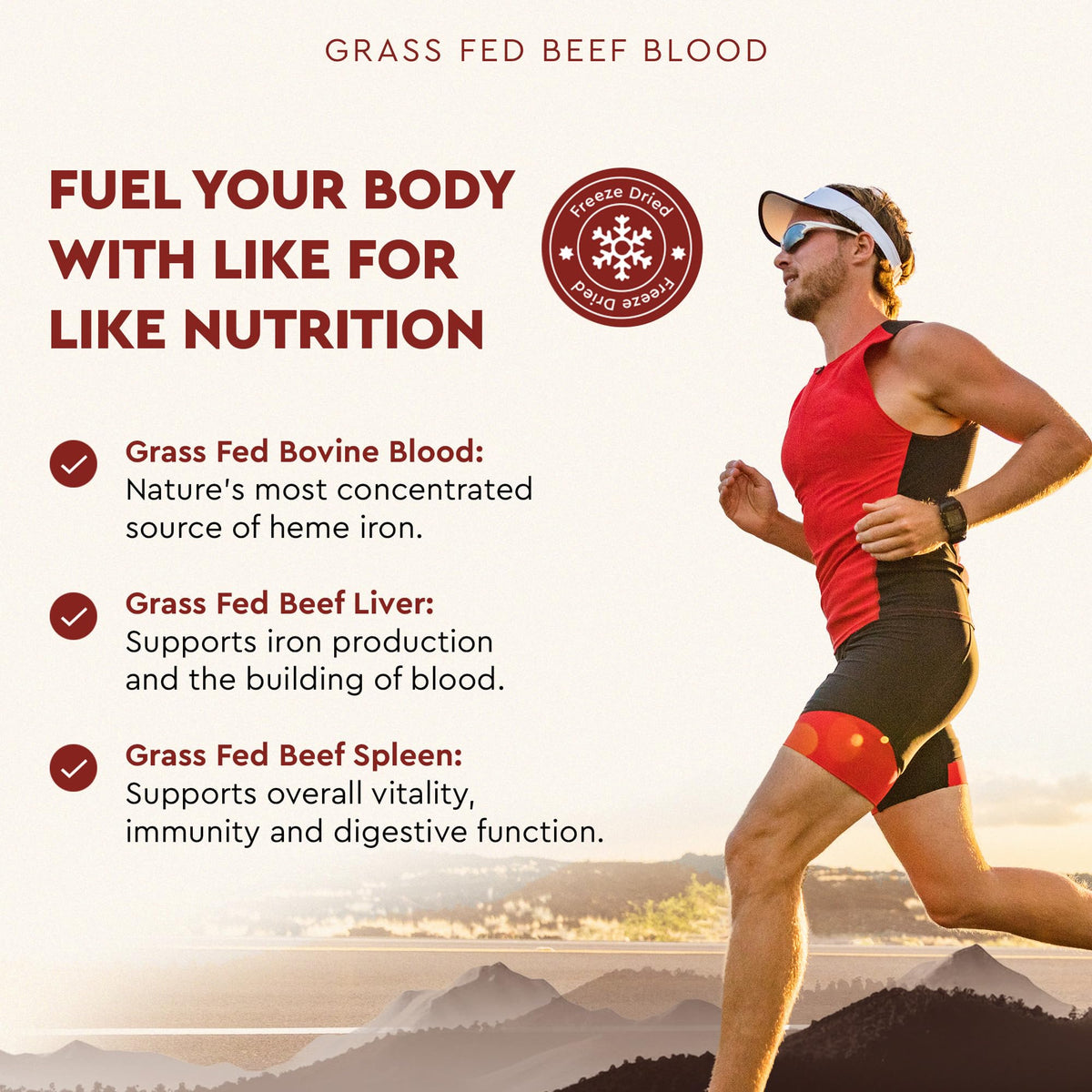 Ancestral Supplements Blood Health Organ Formula 500mg - 180 Capsules - image 4