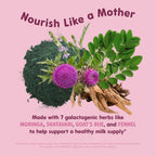 OAT MAMA Organic Lactation Supplement Fenugreek-Free - 60 Capsules - image 4