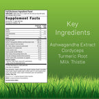 Irwin Naturals Extra Strength Ashwagandha Mind & Body Support - 60 Softgels - image 2
