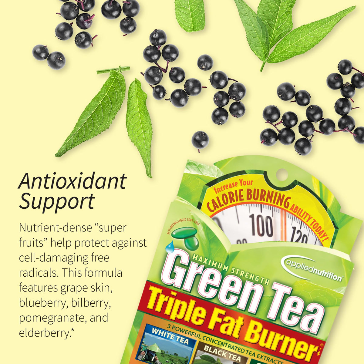 Applied Nutrition Green Tea Fat Burner Metabolism Support - image 4