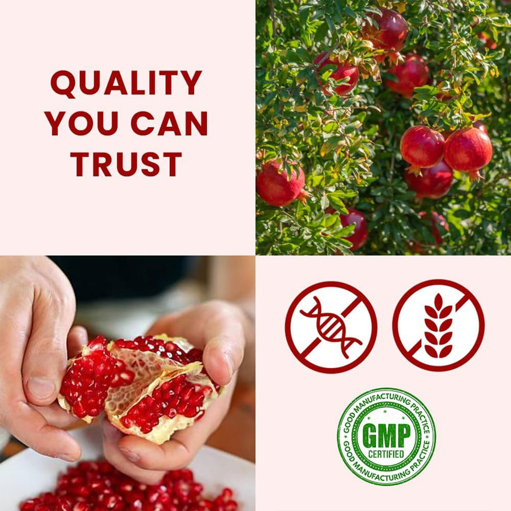 bixa BOTANICAL Pomegranate Peel Powder & Greater Glangal Powder