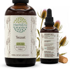 HerbEra Teasel Alcohol-Free Herbal Extract Tincture