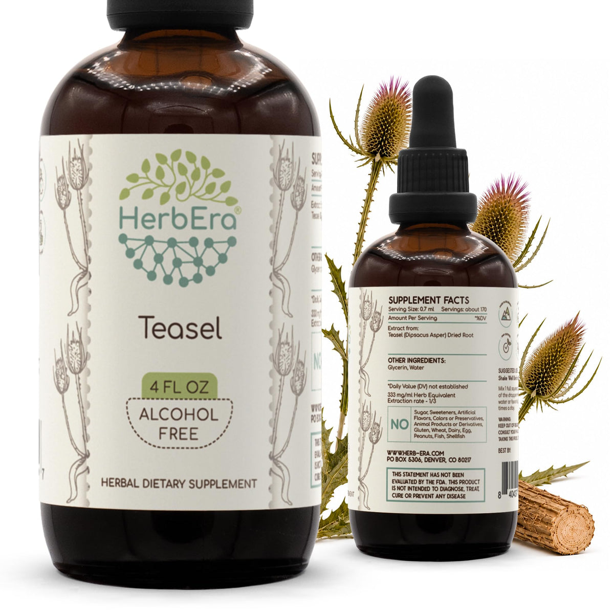 HerbEra Teasel Alcohol-Free Herbal Extract Tincture