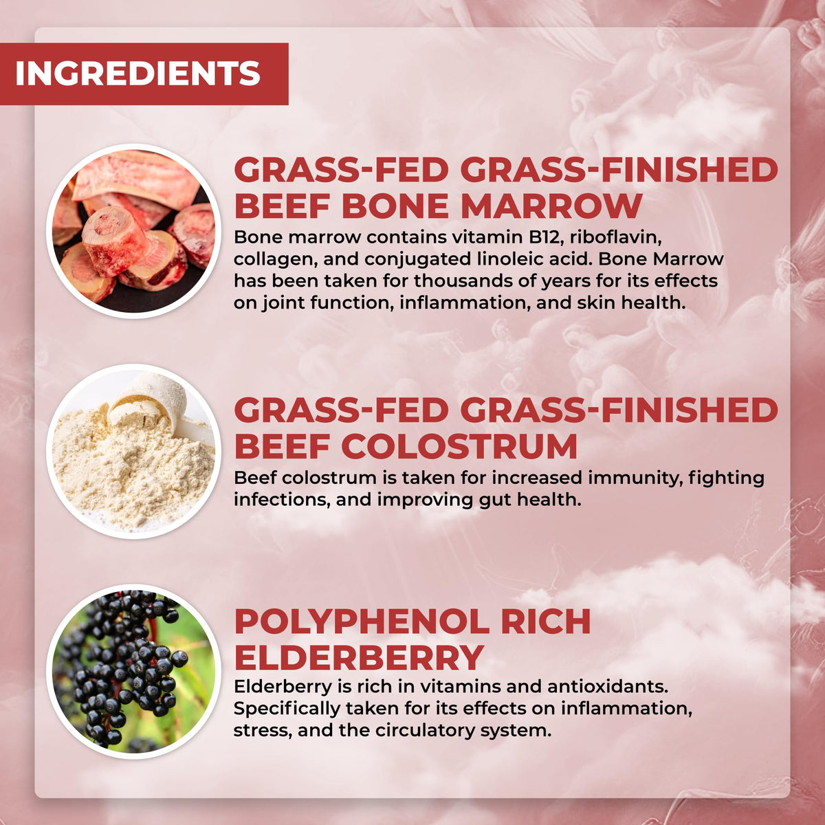 Santa Cruz Paleo Food of the Gods Grass Fed Beef Organ Supplement - 150 Capsules - image 2