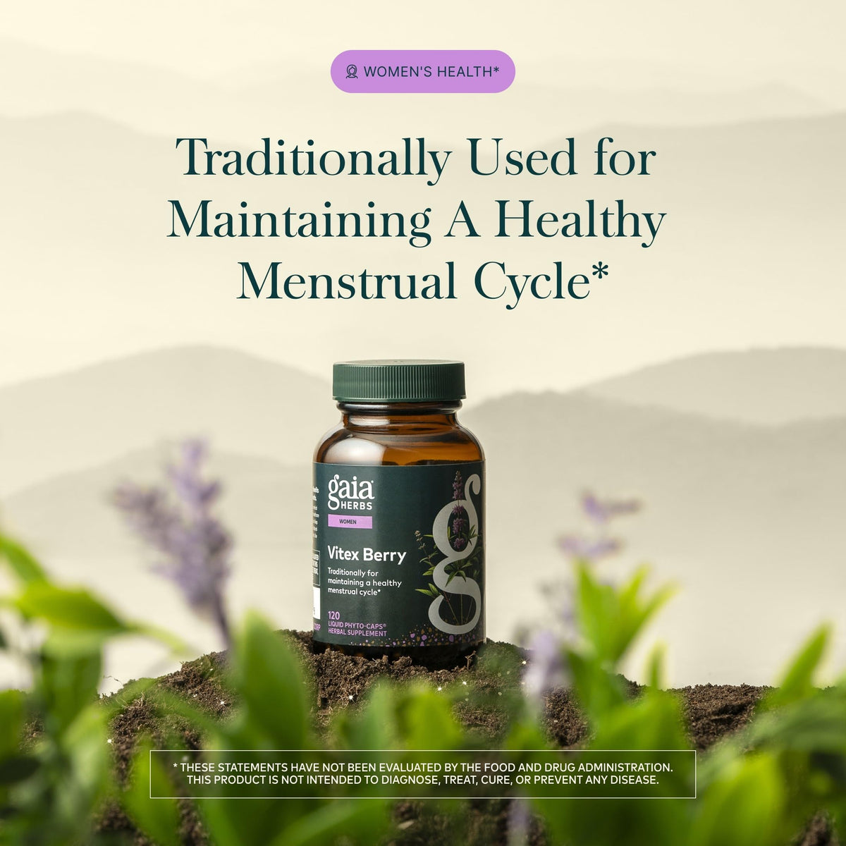 Gaia Herbs Vitex Berry 1000 mg Hormone Balance - 120 Capsules - image 3