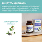 Himalaya Ashwagandha