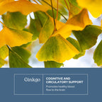 Eclectic Institute Ginkgo Biloba Cognitive Support - 120 Capsules - image 3