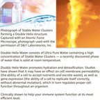 Double Helix Water (15 ml) - Immune Support