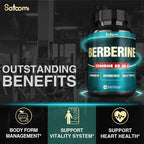 Satoomi Berberine Supplement