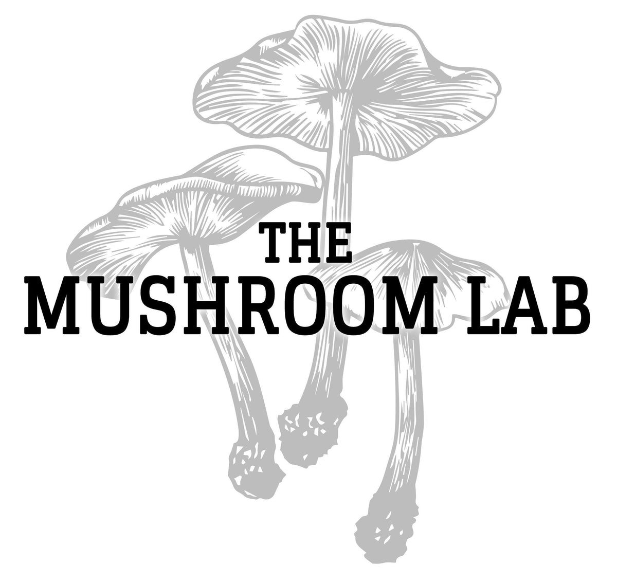 The Mushroom Lab Golden Oyster Mushroom Liquid Culture - 10cc - image 2