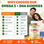 SHIFAA NUTRITION Vegan Omega 3 Gummies with DHA - 60 Gummies - image 7